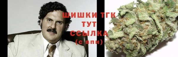 хмурый Алзамай
