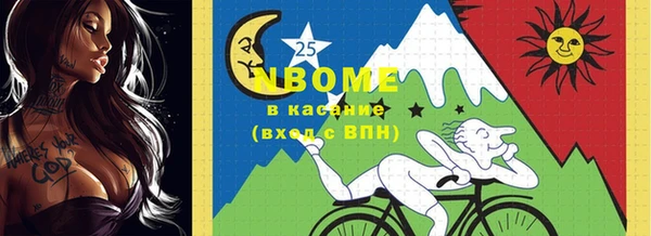 хмурый Алзамай