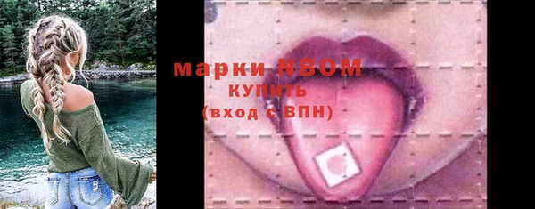 хмурый Алзамай