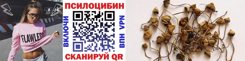 Галлюциногенные грибы Cubensis  купить наркотик  Петровск 